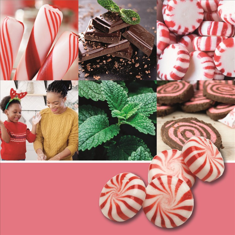 Bild von Peppermint Pinwheels small Jar (klein/petite)