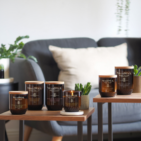 Bild für Kategorie ReNew Collection